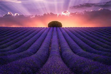 Colorful Landscapes Photo Contest Winners - VIEWBUG.com