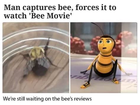 The Bee-zarre History of 'Bee Movie' Memes