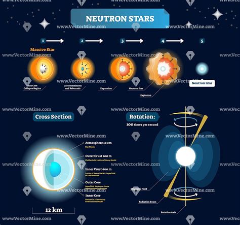 Neutron stars labeled educational diagram, vector illustration ...