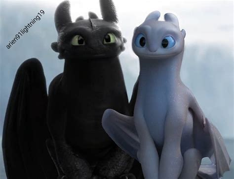 Httyd 2 Toothless and light fury | Draghi