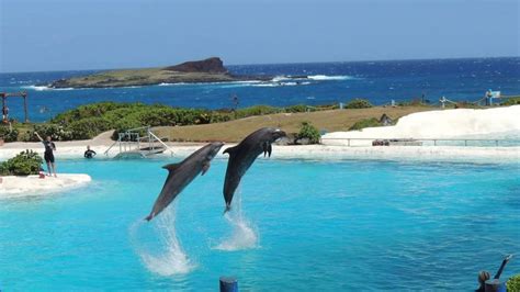 Sea Life Park Hawaii Admission