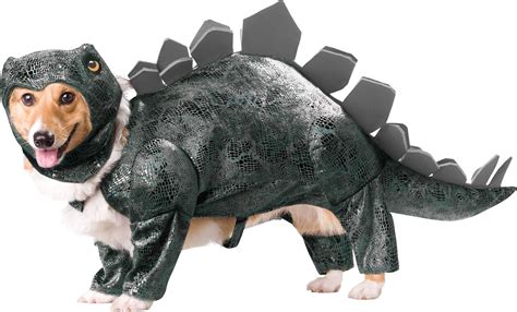 The 5 Funniest Corgi Halloween Costumes - Corgi Planet