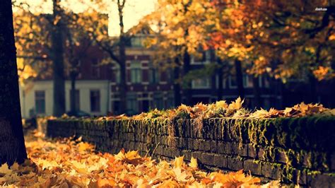 Autumn City Wallpapers - Top Free Autumn City Backgrounds - WallpaperAccess