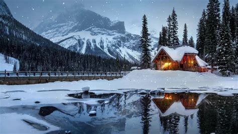 Cozy Winter Cabin Live Wallpaper - WallpaperWaifu