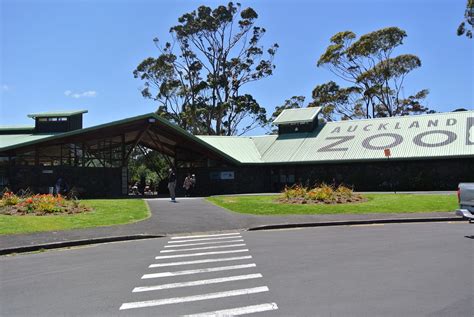 Search, Ponder & the Pacific: One Fine Day at the Auckland Zoo