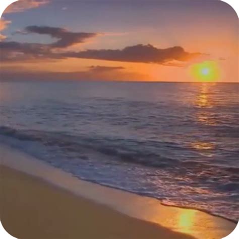 Sunset Beach Live Wallpaper Android APK Free Download – APKTurbo