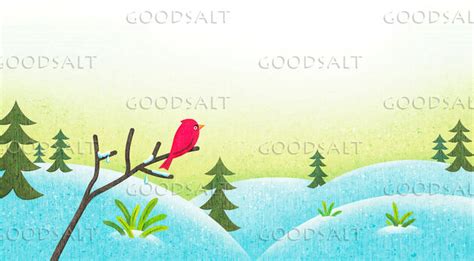 Cardinal on Snowy Tree Branch - GoodSalt