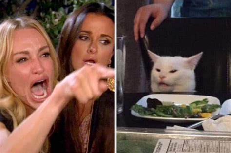 Woman Yelling At Cat Template - Meme womanyellingatcat funny cat ...