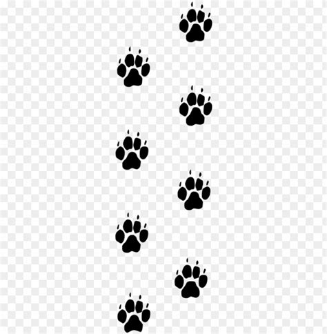 aw print trail png - wolf paw prints PNG image with transparent ...