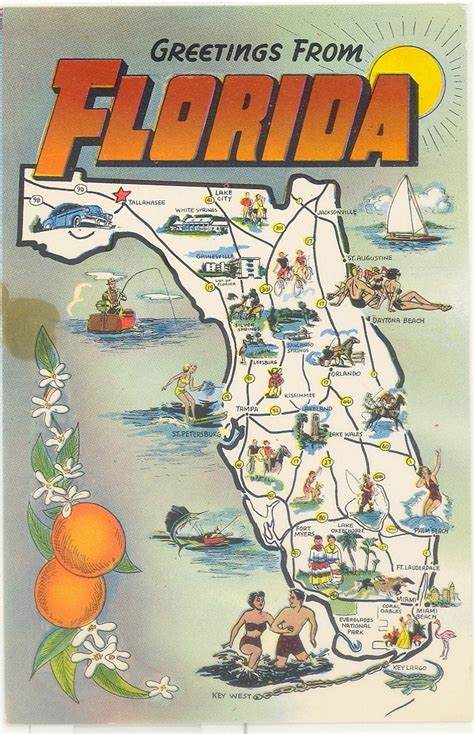 Vintage Florida Postcard Greetings from Florida Map Oranges