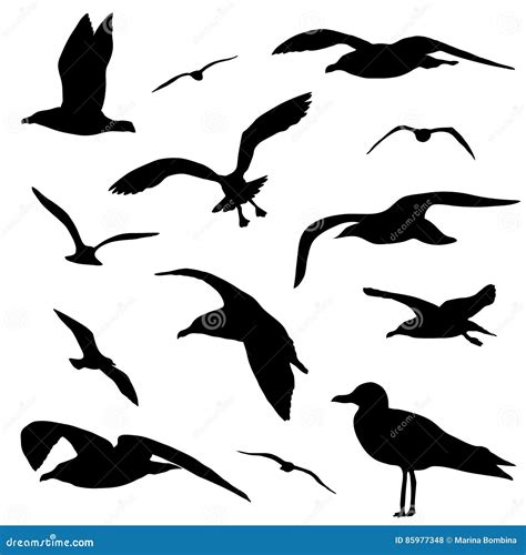 Seagull Silhouette Set Isolated On White Background Vector. Set Flying ...