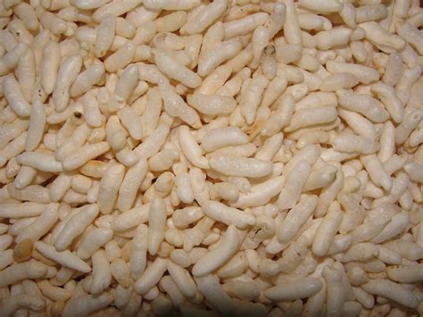 File:A closeup of puffed rice.JPG - Wikimedia Commons