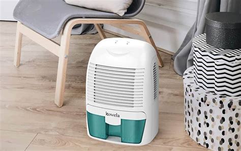 Top 10 Best Mini Dehumidifiers in 2021 Reviews | Buyer's Guide