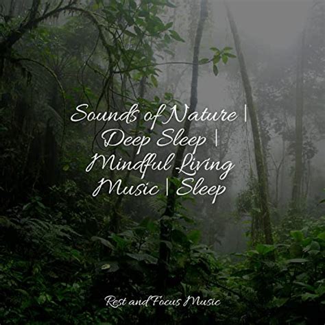 Sounds of Nature | Deep Sleep | Mindful Living Music | Sleep von ...