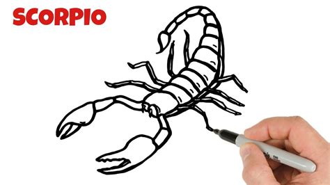 How to Draw Scorpio | Art Tutorial for beginners - YouTube