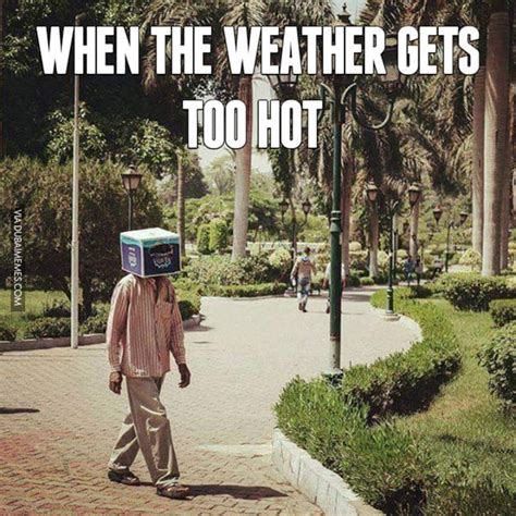 42 Hot Weather Memes That'll Help You Cool Down - SayingImages.com