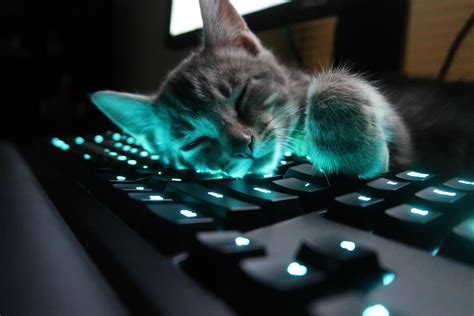 Cute Keyboard Wallpaper Tumblr - Photos Cantik