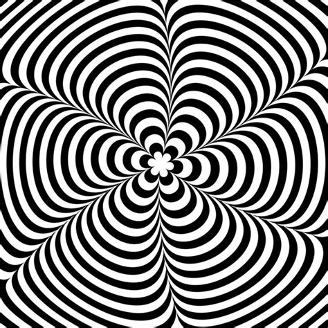 3d Optical Illusions Hidden Image Black And White