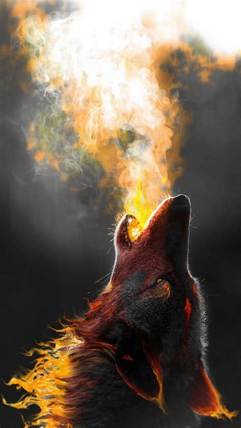 Wolf Wallpaper 1080p » Hupages » Download Iphone Wallpapers | Wolf ...