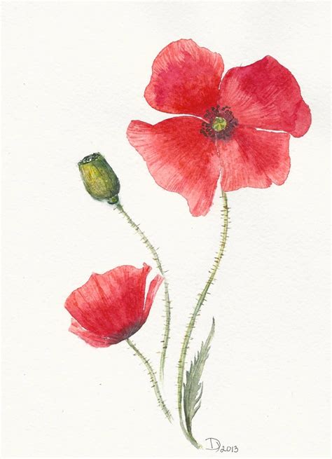 Flowers Original watercolor painting Red Poppy by ArtAquarelle