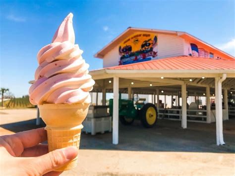 Best Ice Cream Shops Near Me: 21 Places in the U.S. - Parade