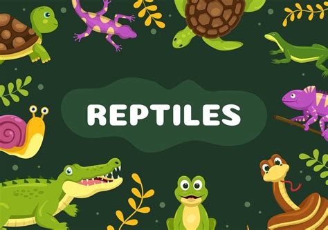 Set of Animal Reptile Template Hand Drawn Cartoon Flat Illustration ...