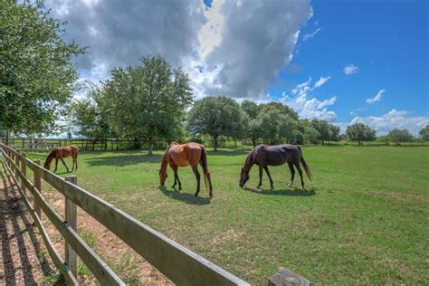 5 of the Largest Ranches in Texas: Stop Drooling and Read On