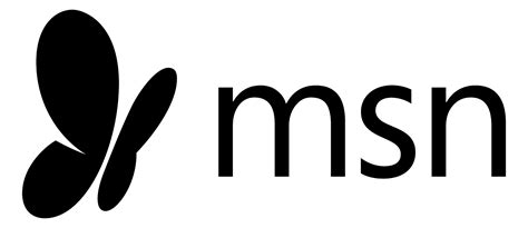 MSN new logo transparent PNG - StickPNG