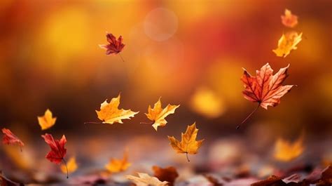 Autumn Hd Background Images - Free Download on Freepik