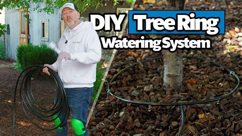 How to Install a Tree Drip Irrigation System | Tree Rings (Complete DIY ...