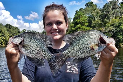 Best Crappie Bait and How to Use It