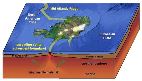 Mid Atlantic Ocean Ridge Diagram - ocean wildlife list