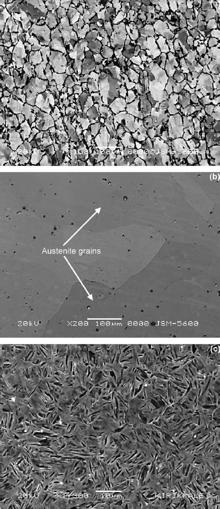 SEM micrographs of examined specimens. (a) Observed ferrite phase of ...