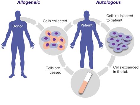 Cell and Gene Therapy | Lonza