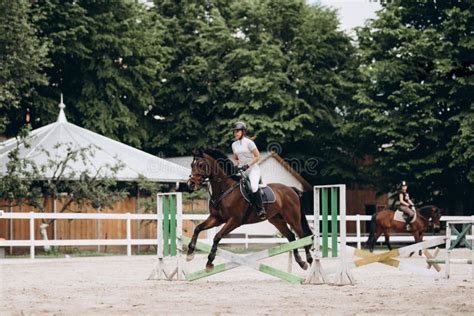 Overcoming Obstacles. Beautiful Graceful Horse Jumping Over the Barrier ...