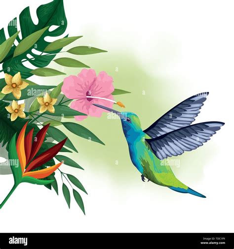 Exotic bird and tropical flowers drawing Stock Vector Image & Art - Alamy