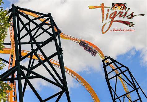 Busch Gardens Tampa to Open Tigris in 2019, Florida’s Tallest Launch ...