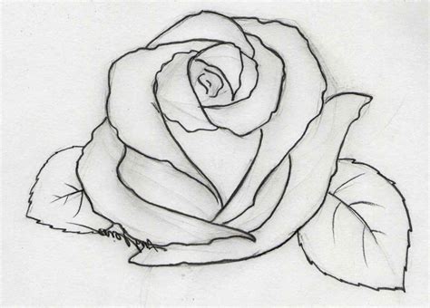 34+ Pencil Art Drawing Rose Images