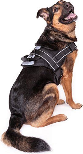 7 Best Harnesses for German Shepherds | The Dog People by Rover.com