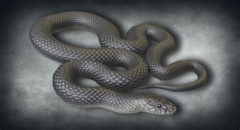 Animated Mamba Snakes PBR in Characters - UE Marketplace