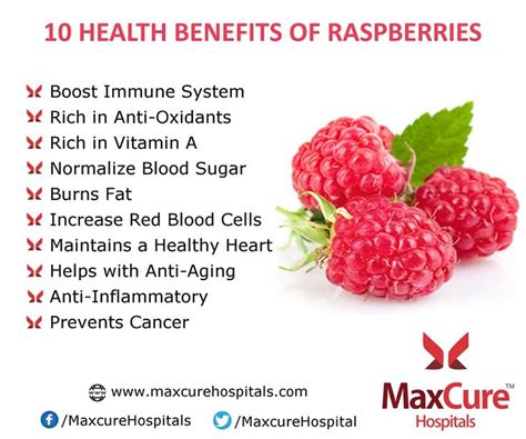 The Small But Powerful Raspberry | Raspberry benefits, Raspberry, Health