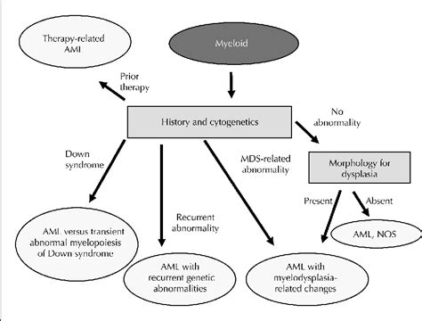 [PDF] Acute myeloid leukemia diagnosis in the 21st century. | Semantic ...