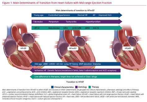 Heart Failure With Mid-range or Recovered Ejection Fraction | Heart ...