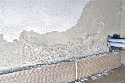 What Causes Mold on Walls? - HomeSelfe