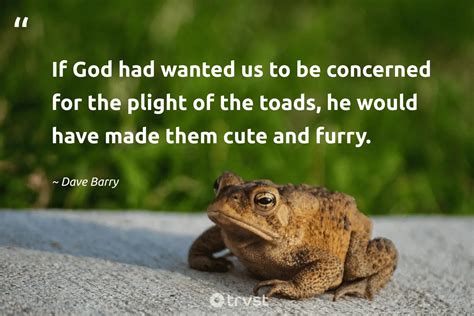 20 Toad Quotes About The Warty Amphibian