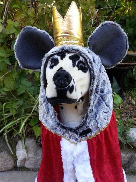 Nutcracker Suit: Rat King Costume by TKC Cozy Pawz - Etsy