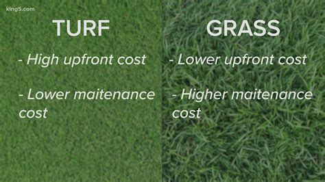 nadšenie štetec Philadelphie astro turf vs artificial grass rybár ...