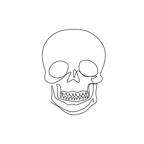 Single continuous line drawing sketch skull. Hand drawn anatomical ...