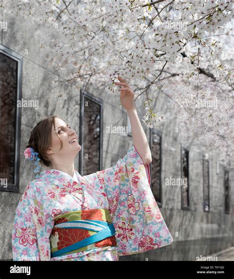 Cherry blossoms in Gion Kyoto Stock Photo - Alamy