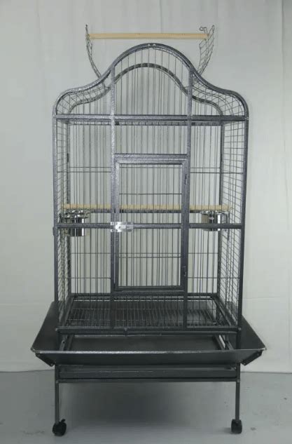 7 Top-Rated Cages For Indian Ringnecks (2023) - CaringForFeathers